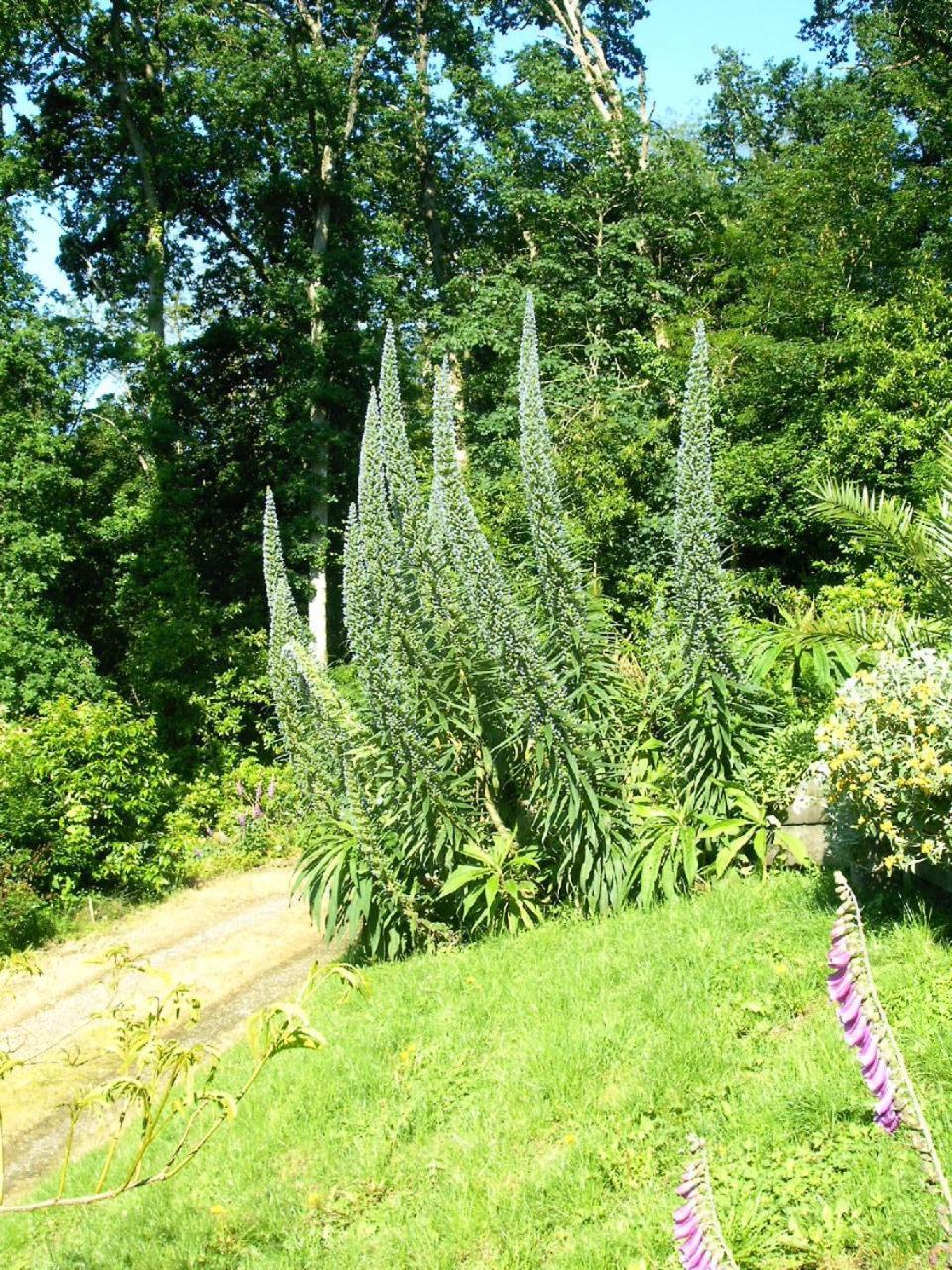 Gite La Bertichere 3 Etoiles Saint-Jean-le-Thomas Eksteriør bilde